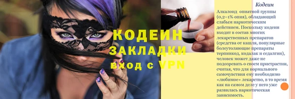 дурь Алексин