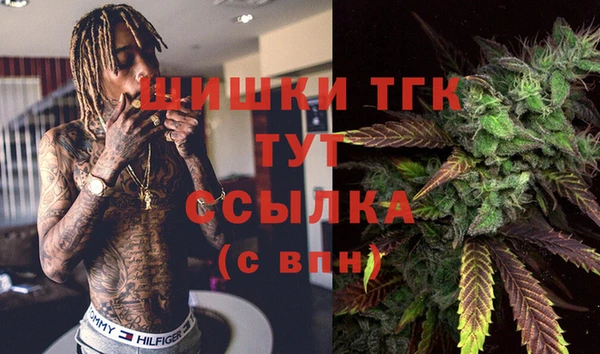 дурь Алексин