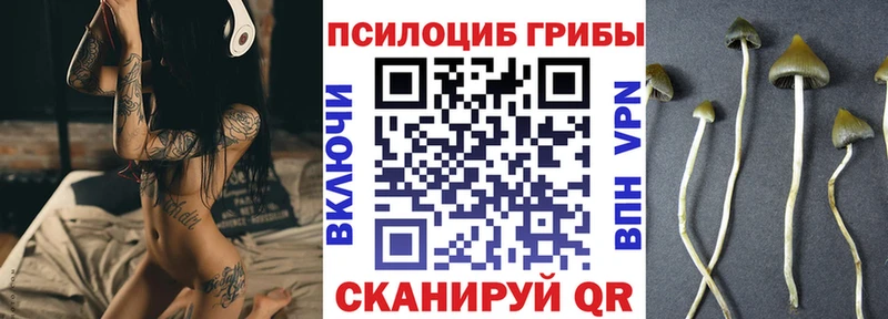 купить закладку  Канск  Псилоцибиновые грибы Magic Shrooms 